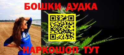 прущие грибы Кандалакша