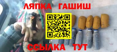 прущие грибы Кандалакша