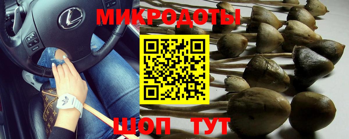 Галлюциногенные грибы Psilocybine cubensis Краснокаменск